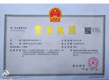 执照